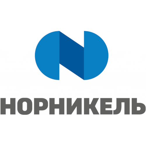 logo-nornikel (2)